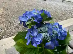 滑川神社 - 仕事と子どもの守り神の自然