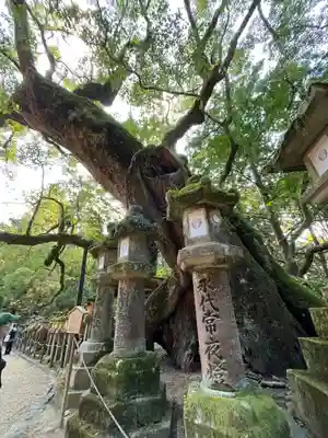 春日大社のその他建物