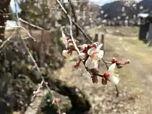 北野神社(福島県)(2025年03月21日(金) 14時19分25秒投稿)