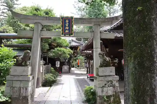 白雲神社(京都府)