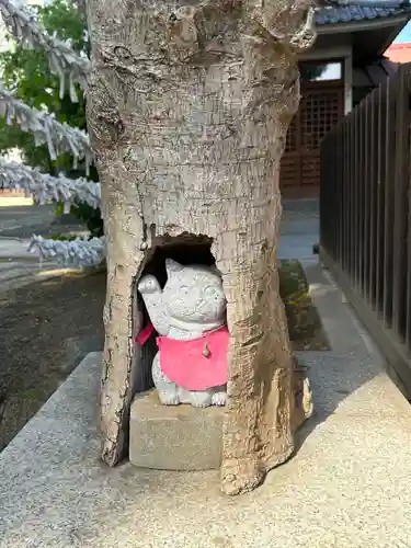 白山神社の狛犬