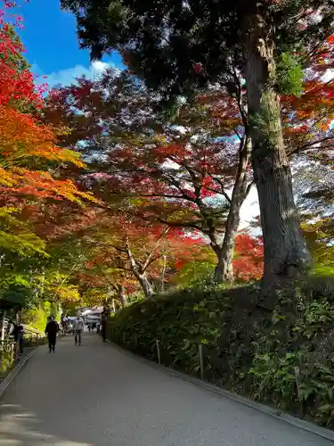 中尊寺の景色