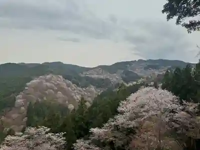 𠮷水神社（吉水神社）(奈良県)