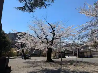 寛永寺(根本中堂)(東京都)