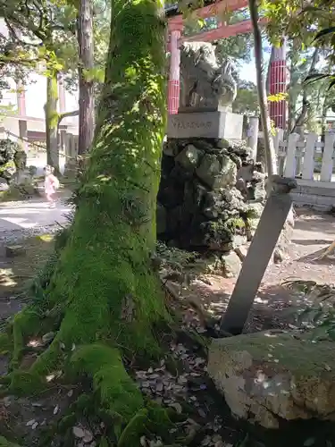 菟橋神社の狛犬