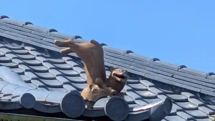 稲荷神社の{uncategorized: "未分類", other: "その他", undefined: "問題あり", building: "その他建物", grave: "お墓", sacred_gate: "鳥居", guardian: "狛犬", statue: "像", buddha: "仏像", history: "歴史", nature: "自然", garden: "庭園", animal: "動物", pagoda: "塔", temizu: "手水舎", mountain_gate: "山門・神門", sanctuary: "本殿・本堂", subordinate: "末社・摂社", art: "芸術", scenery: "景色", jizo: "地蔵", ema: "絵馬", goshuin: "御朱印", omikuji: "おみくじ", items: "授与品その他", amulet: "お守り", goshuincho: "御朱印帳", eats: "食事", festival: "お祭り", votive_dance: "神楽", shichigosan: "七五三参", wedding: "結婚式", experience: "体験その他", initially: "初詣", around: "周辺", anti_infection: "感染症対策"}