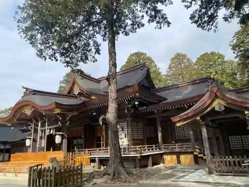 大麻比古神社(徳島県)
