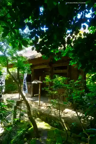 杉本寺(神奈川県)