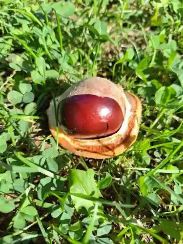 厚別神社(北海道)