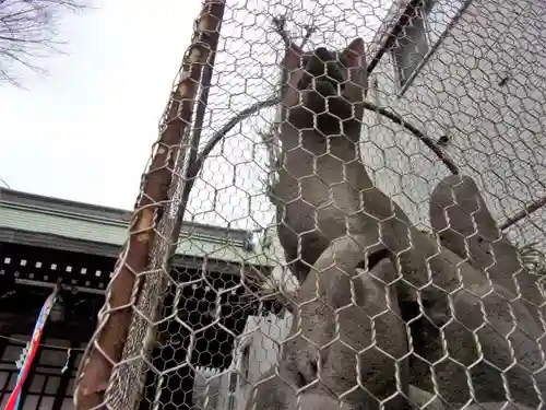 甘酒稲荷神社の狛犬