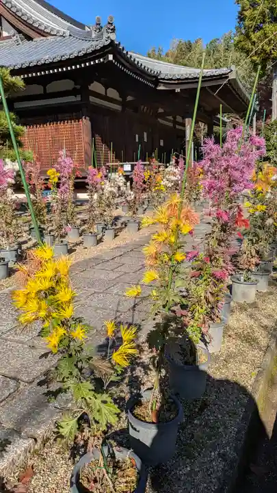 法金剛院(京都府)