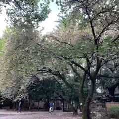 ときわ台天祖神社の建物その他