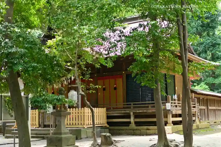氷川女體神社(埼玉県)
