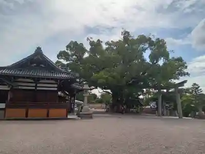 百舌鳥八幡宮(大阪府)