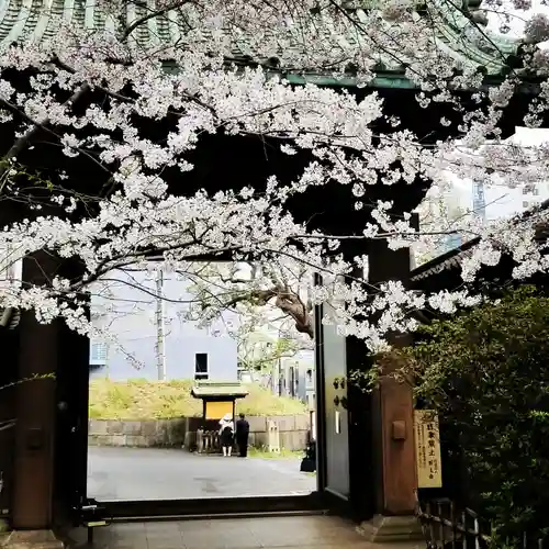 湯島聖堂の山門