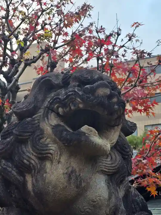 京都ゑびす神社(京都府)