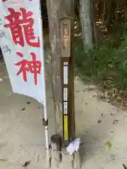 白美龍神社の鳥居