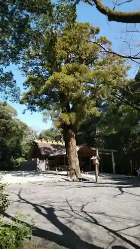 月夜見宮（豊受大神宮別宮）の自然