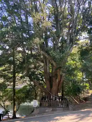 安房神社(千葉県)