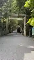 椿大神社の{uncategorized: "未分類", other: "その他", undefined: "問題あり", building: "その他建物", grave: "お墓", sacred_gate: "鳥居", guardian: "狛犬", statue: "像", buddha: "仏像", history: "歴史", nature: "自然", garden: "庭園", animal: "動物", pagoda: "塔", temizu: "手水舎", mountain_gate: "山門・神門", sanctuary: "本殿・本堂", subordinate: "末社・摂社", art: "芸術", scenery: "景色", jizo: "地蔵", ema: "絵馬", goshuin: "御朱印", omikuji: "おみくじ", items: "授与品その他", amulet: "お守り", goshuincho: "御朱印帳", eats: "食事", festival: "お祭り", votive_dance: "神楽", shichigosan: "七五三参", wedding: "結婚式", experience: "体験その他", initially: "初詣", around: "周辺", anti_infection: "感染症対策"}