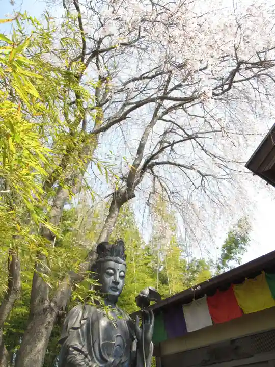 真光寺(千葉県)