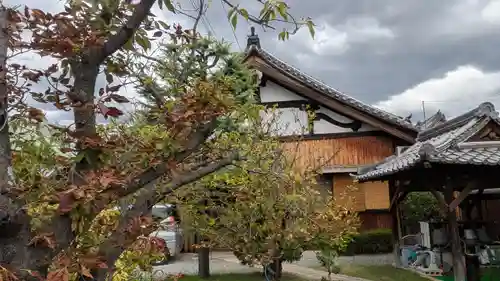 如来院(兵庫県)