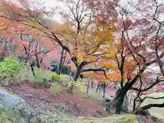 宝満宮竈門神社(福岡県)