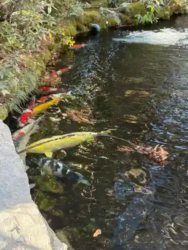 伊勢神宮内宮（皇大神宮）(三重県)