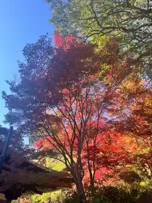 常樂寺(滋賀県)