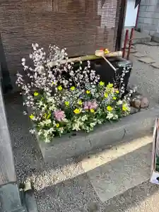 上尾御嶽神社の手水舎(2023年03月12日(日) 18時38分58秒投稿)