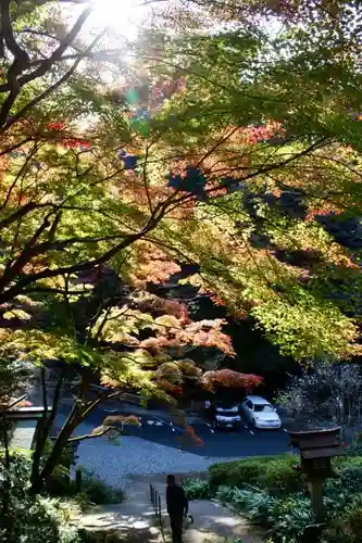 日向大神宮の自然