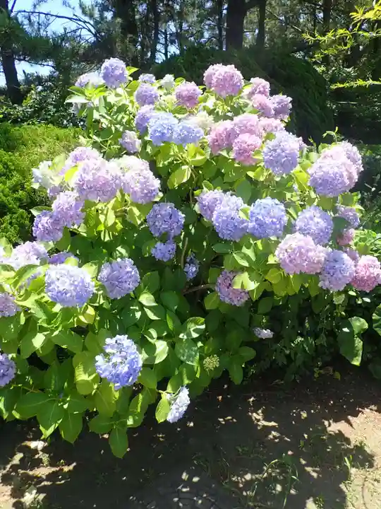 瀬戸神社(神奈川県)