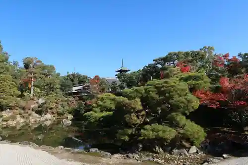 仁和寺の庭園