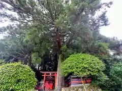 春日神社(奈良県)