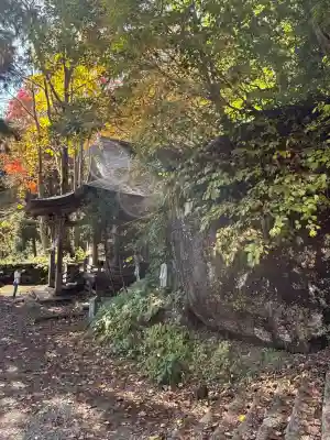 戸隠神社九頭龍社(長野県)