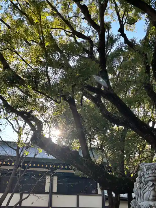 穴八幡宮(東京都)