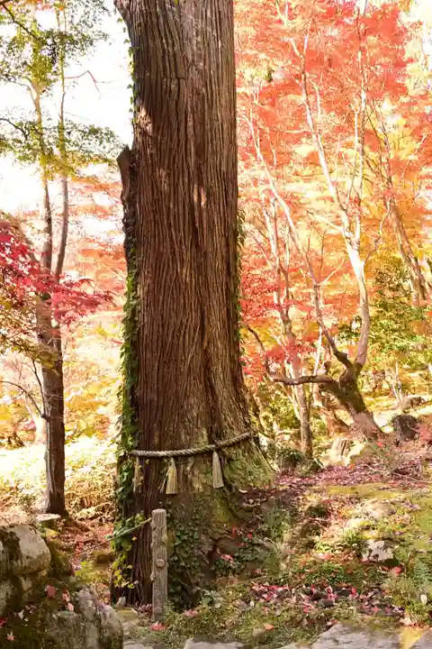 百済寺(滋賀県)