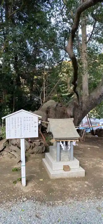 草薙神社の自然