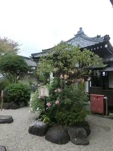 飛鳥寺の自然