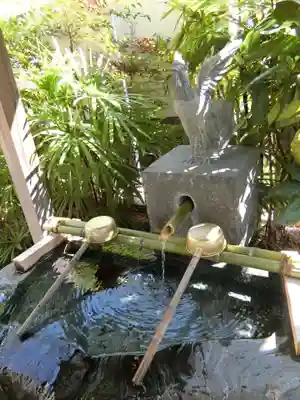 高知大神宮の手水舎