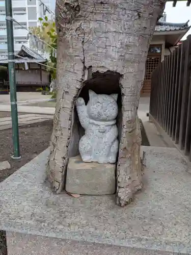 荻窪白山神社(東京都)