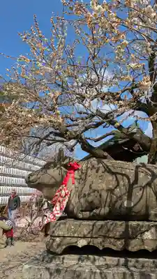 北野天満宮(京都府)