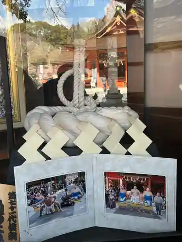 富士山本宮浅間大社(静岡県)