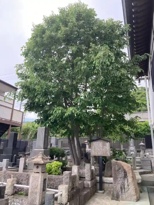 真楽寺(神奈川県)
