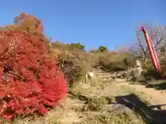 筑波山神社 女体山御本殿の景色