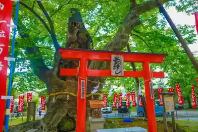 秩父今宮神社の鳥居