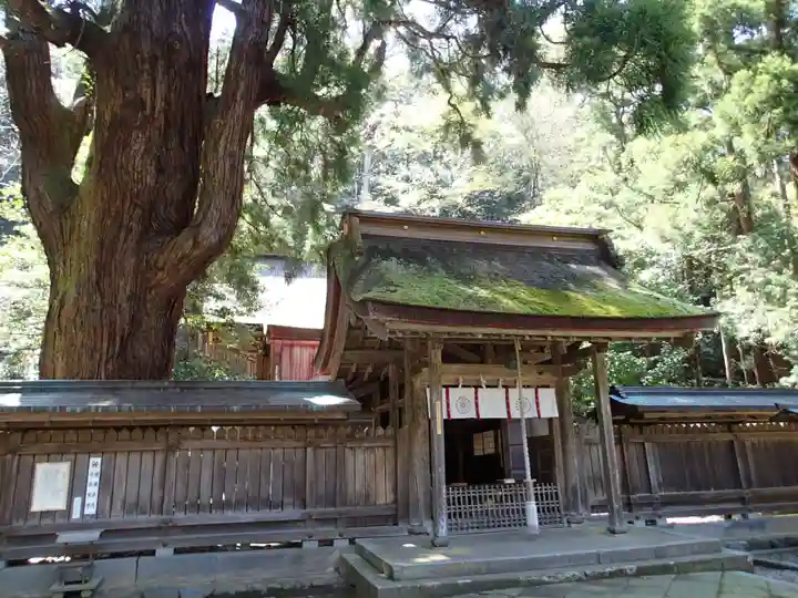 若狭姫神社(若狭彦神社下社)の本殿・本堂