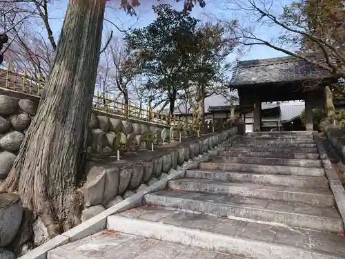 延命寺の山門