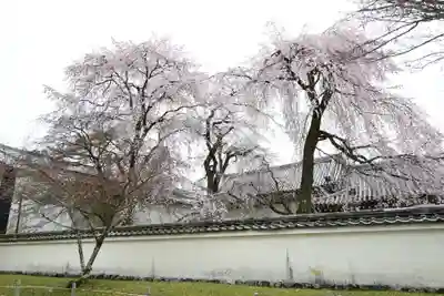 醍醐寺(京都府)
