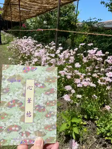 金剛寺の御朱印帳